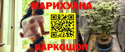 скорость Гатчина